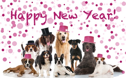 Un felice 2015 da Pet Shop Store