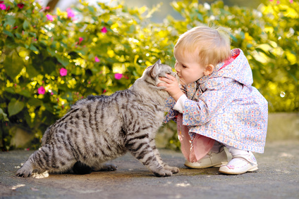 Gatti e bambini il problema degli antiparassitari