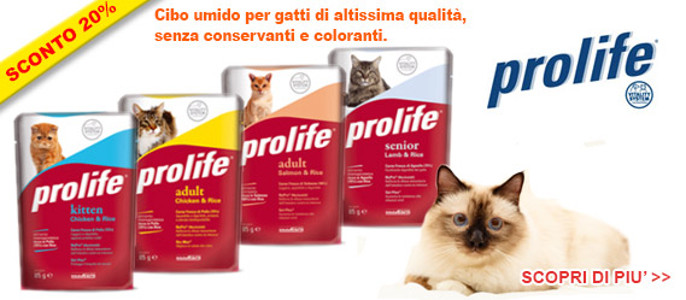 Sconti per cibo umido gatto Prolife